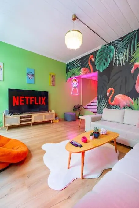Maximalist House In City Center 伊斯坦布尔